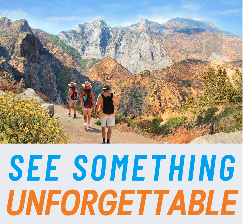 You are currently viewing See Something Unforgettable!