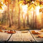 3 Amazing Fall Destinations to Enjoy the Beautiful Autumn Foliage